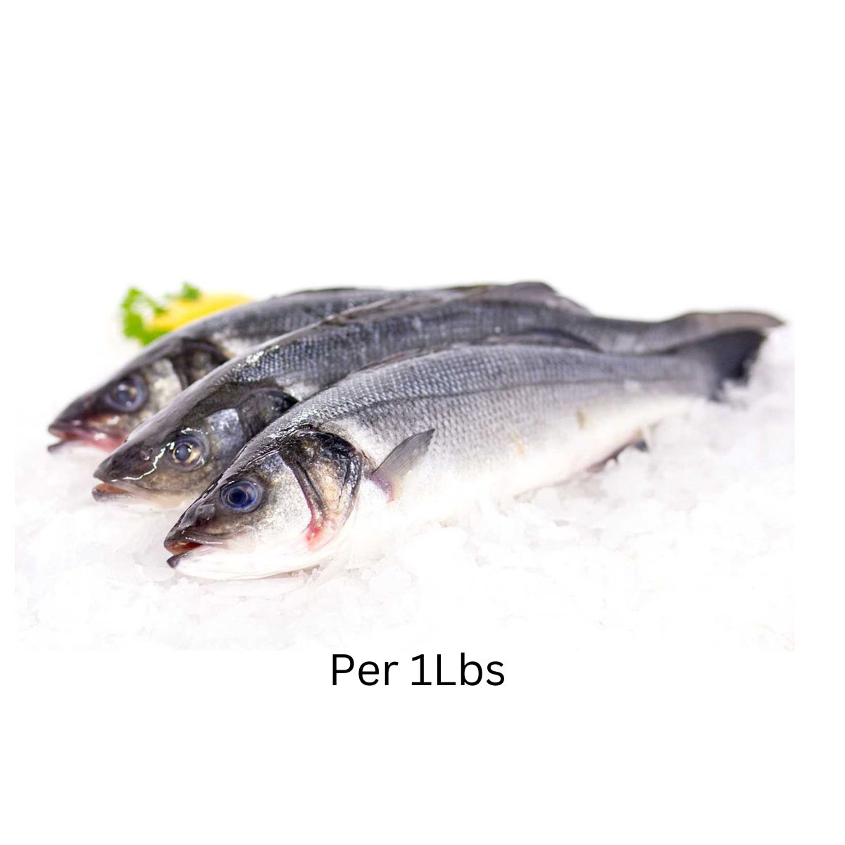 Bronzini